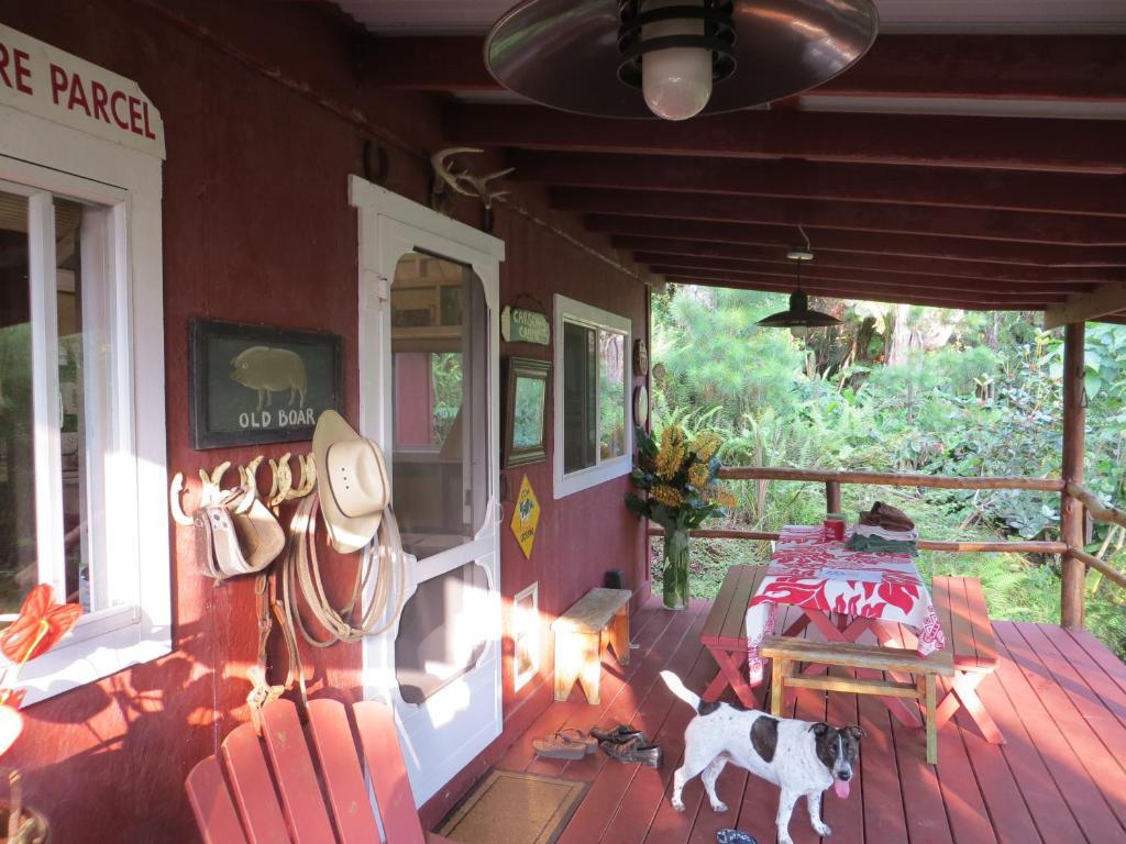 Carson'S Kaloko Mountain Cabin Kailua-Kona Quarto foto